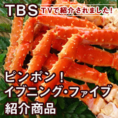 �۵����䡪���̸��ꡪ�辰������֥�����1/2�ò�3800�ߡ�