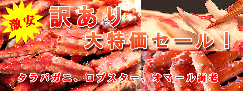 ��̣������������Υ����ȡֳ��λԾ졢���λԾ��